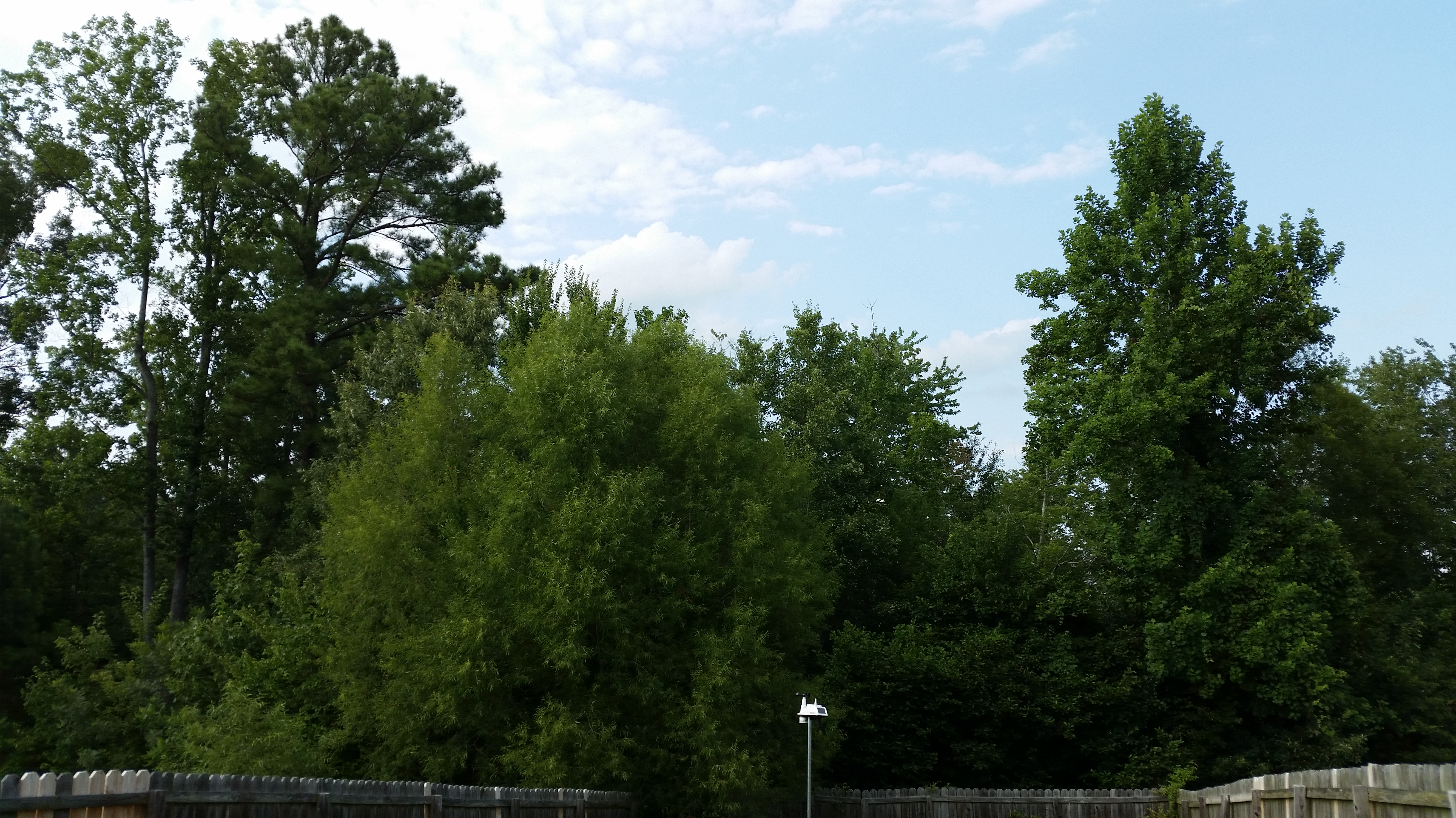 20140730_175030