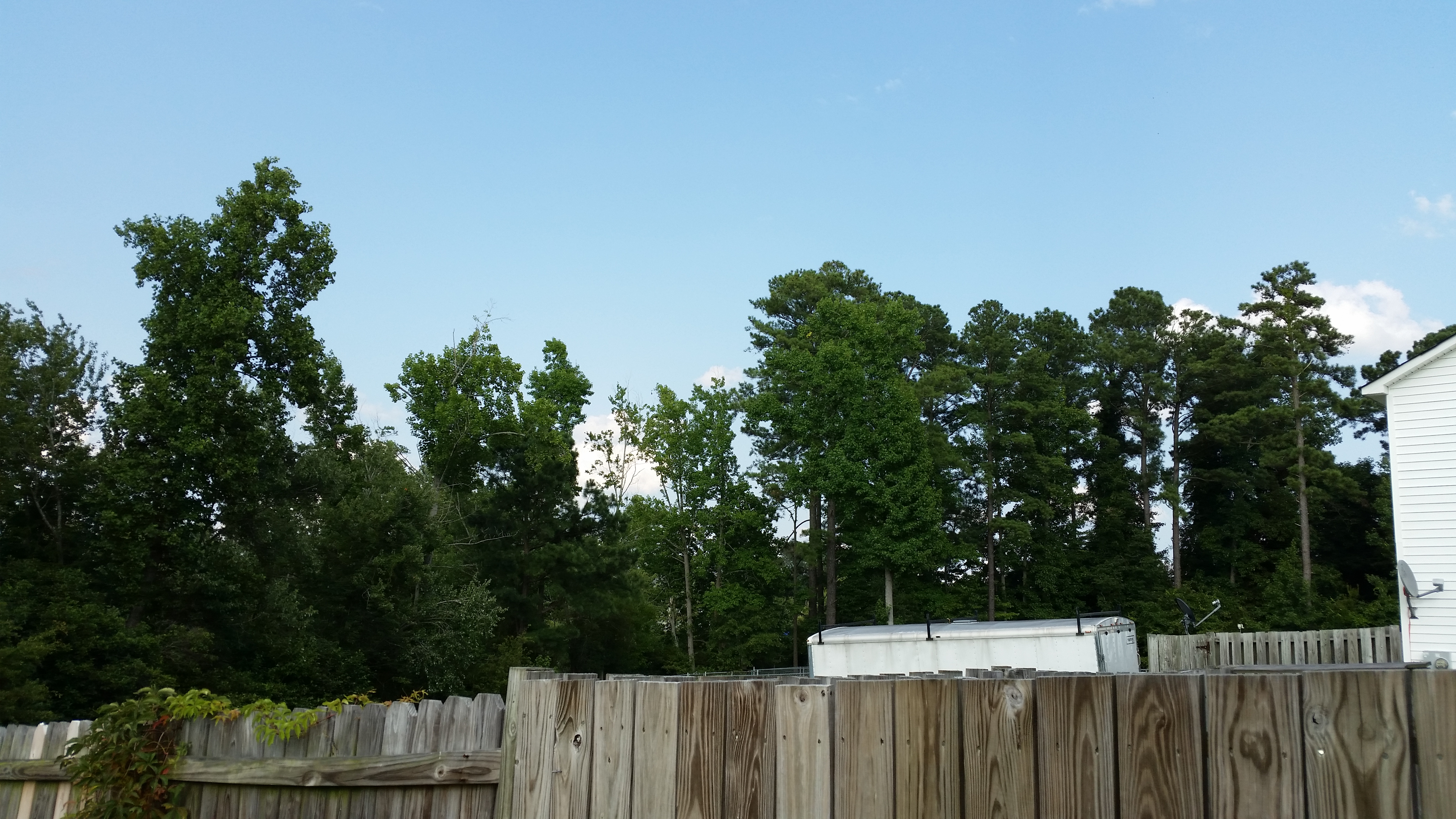 20140730_175034