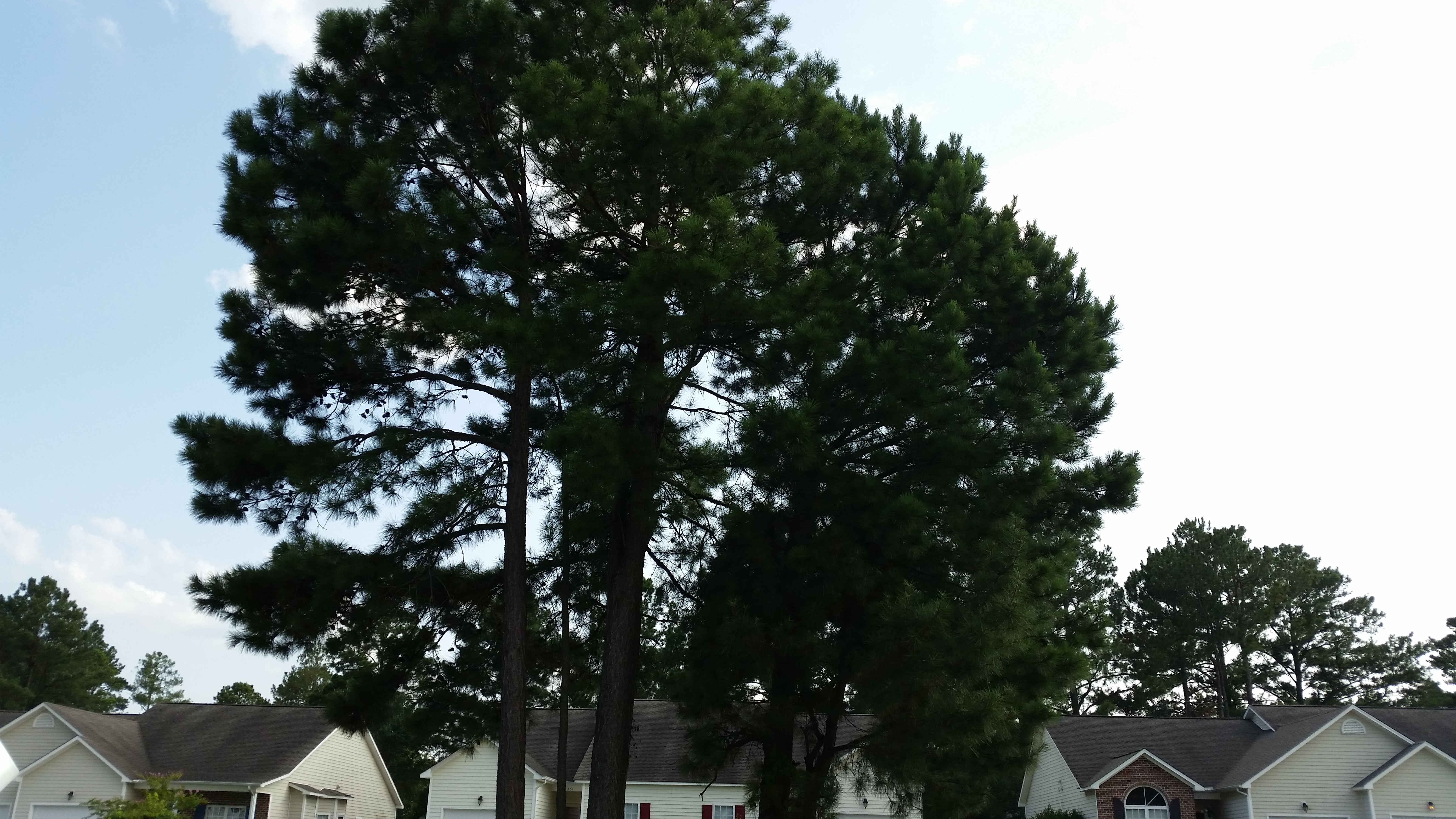 20140730_175152