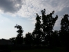 20140730_175026