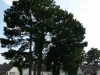 20140730_175152